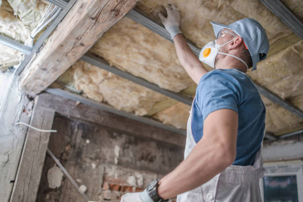 Best Cellulose Insulation in Montebello, CA